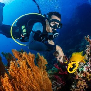 underwater metal detector